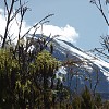  Widok na Kilimanjaro