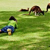  Kasia i polowanie na kangury