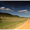  Masai Mara