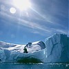  Jachtem na Antarktydę i wokół Hornu