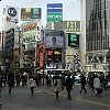  Najsłynniejsze skrzyżowanie w Tokio Shibuya Crossing
