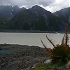  Jezioro Tasmana w morenie czołowej 