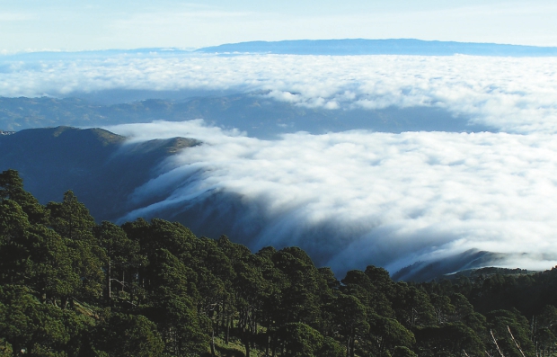 Morze chmur widziane z Tajumulco